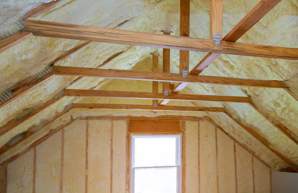 Best Specialized Insulation Services in East Richmond Heights, CA
